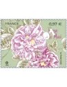 Timbre n° 5400 - Fleurs de Grasse et de Méditerranée - Rose de Mai