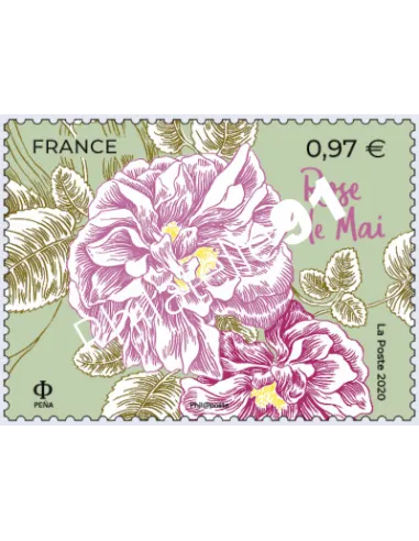 Timbre n° 5400 - Fleurs de Grasse et de Méditerranée - Rose de Mai