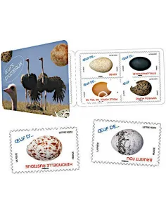 Carnet 1839, oeufs d'oiseaux, collection timbres France