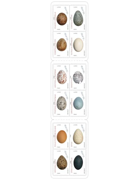 Carnet 1839, oeufs d'oiseaux, collection timbres France