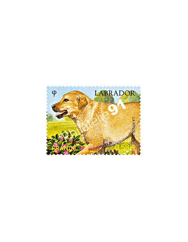 Timbre de France n° 4545 - Labrador - Série "Nature" (XXV)
