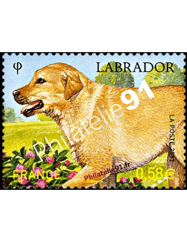 Timbre de France n° 4545 - Labrador - Série "Nature" (XXV)