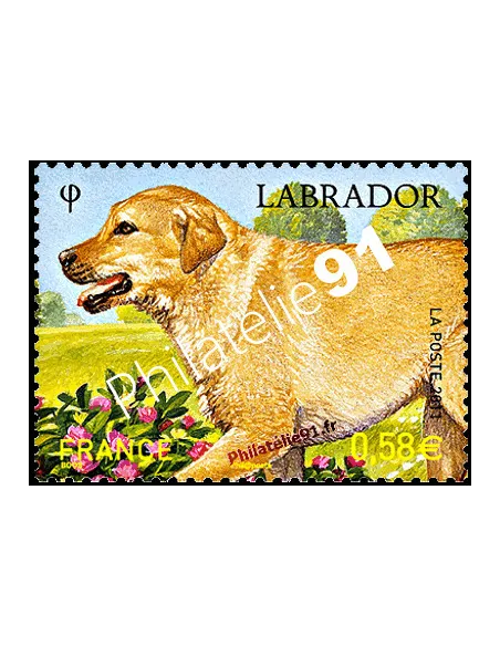 Timbre de France n° 4545 - Labrador - Série "Nature" (XXV)