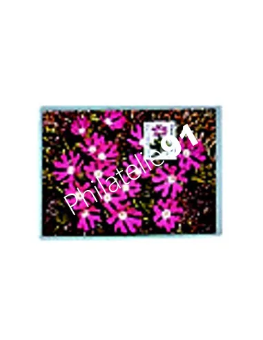 SAFE, Etuis Cartes postales ancienne, Matériel rangement carte postale