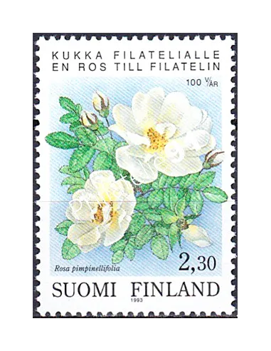Finlande, n° 1174, timbres d'Europe