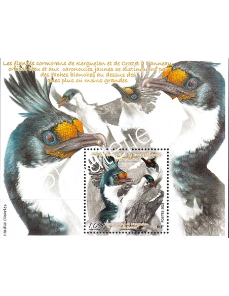 Timbres TAAF n° 958, Feuille, collection timbres Dom-Tom