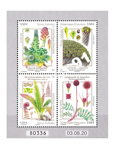 Timbres TAAF n° 969 à 972, Feuille, collection timbres Dom-Tom