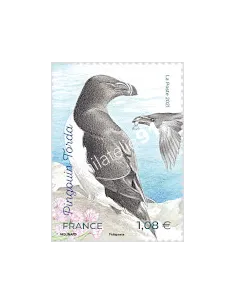 n° 5459 - Pingouin Torda - Série nature (XXXV) - Oiseaux des îles
