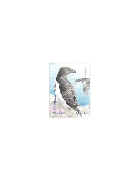 n° 5459 - Pingouin Torda - Série nature (XXXV) - Oiseaux des îles