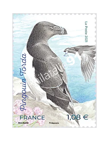 n° 5459 - Pingouin Torda - Série nature (XXXV) - Oiseaux des îles