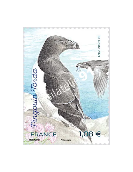 n° 5459 - Pingouin Torda - Série nature (XXXV) - Oiseaux des îles