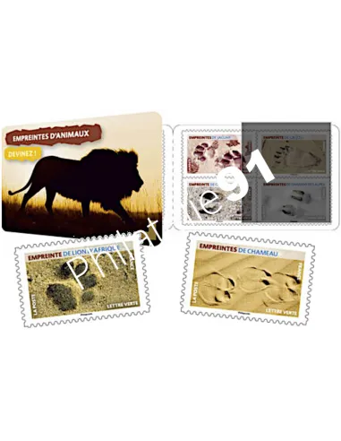 ADH. n°1956 à 1967 (BC1956) - Empreintes d'animaux