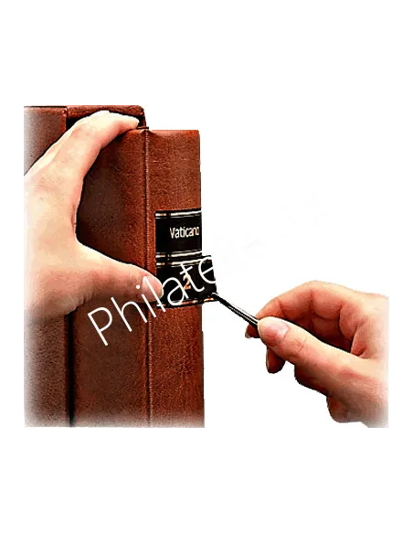 SAFE - Signettes - Pays