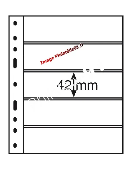 Recharges OPTIMA 5C - transparentes 5 bandes horizontales - Leuchtturm