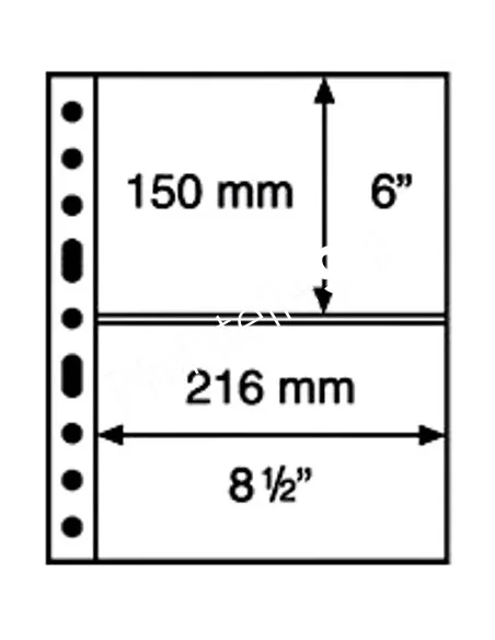 Matériel pour collections - Recharges GRANDE 2C (2 compartiments) transparentes - LEUCHTTURM