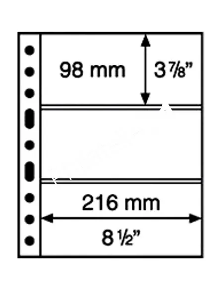 LEUCHTTURM - SYSTEME GRANDE - Recharges 3C (3 compartiments) transparentes