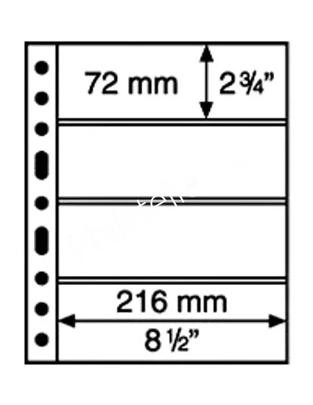 LEUCHTTURM - SYSTEME GRANDE - Recharges 4C (4 compartiments) transparentes
