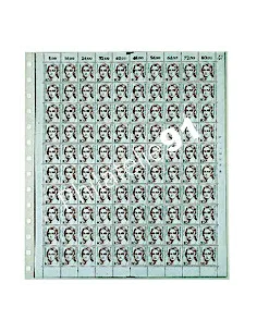 SAFE -5 feuilles 1 poche Format 260x300mm pour documents