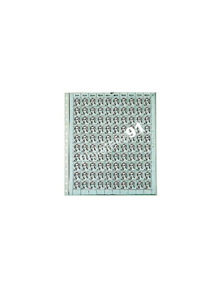 SAFE -5 feuilles 1 poche Format 260x300mm pour documents