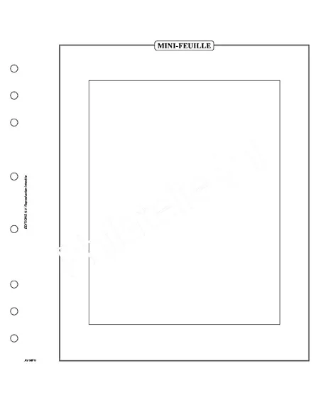 AV -    France - 5 Feuilles neutres pour mini-feuilles - format vertical  (avec pochettes)