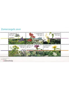 PAYS-BAS, BF n° 70, collection timbres Europe