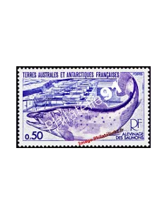 Timbre des TAAF n° 71, Faune, saumons, collection timbres Dom-Tom