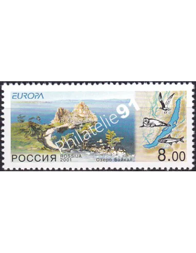 RUSSIE, n° 6567, collection timbres Europe