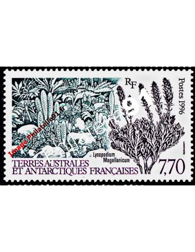 TAAF, n° 209, Collection timbres Dom-Tom