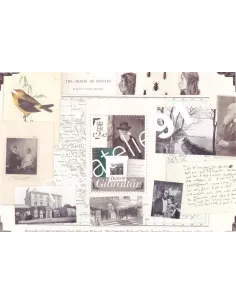 Gibraltar, BF n° 91, collection timbres Europe