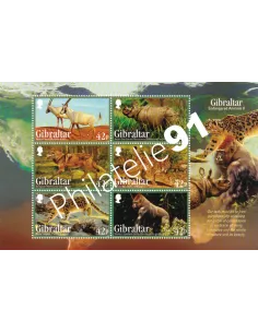 Gibraltar, BF n° 112, collection timbres Europe