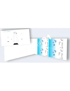 Bosnie-Herzégovine, Carnet n° 397a, collection timbres Europe