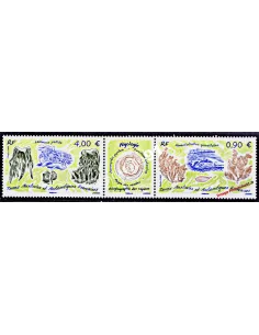 TAAF, n° 528 à 529, paire avec vignette, Collection timbres Dom-Tom