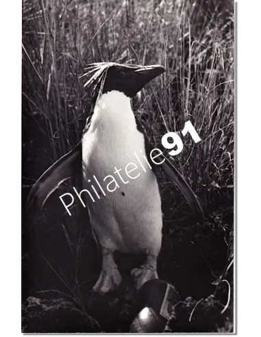 Carte photo des TAAF, timbres des Dom-Tom