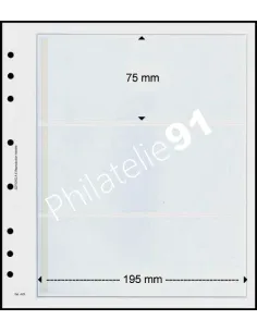 FEUILLES NEUTRES - 3 POCHES - AV 300-5