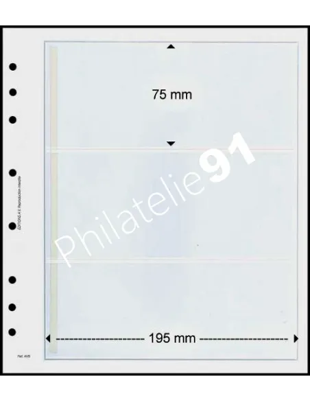 FEUILLES NEUTRES - 3 POCHES - AV 300-5