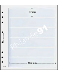 FEUILLES NEUTRES - 6 POCHES - AV 600-5