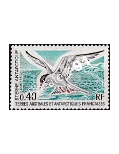 Timbre des TAAF n° 55, sterne, Collection timbres DOM TOM