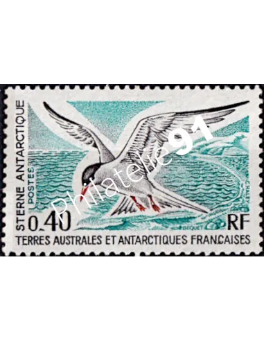 Timbre des TAAF n° 55, sterne, Collection timbres DOM TOM