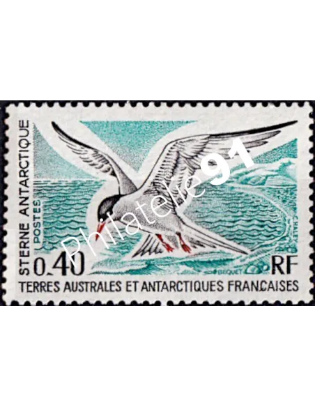 Timbre des TAAF n° 55, sterne, Collection timbres DOM TOM