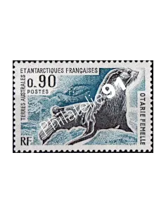 Timbre des TAAF n° 57, otarie, Collection timbres DOM TOM