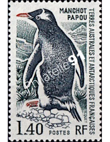 Timbre des TAAF n° 60, Manchot papou, Collection timbres DOM TOM