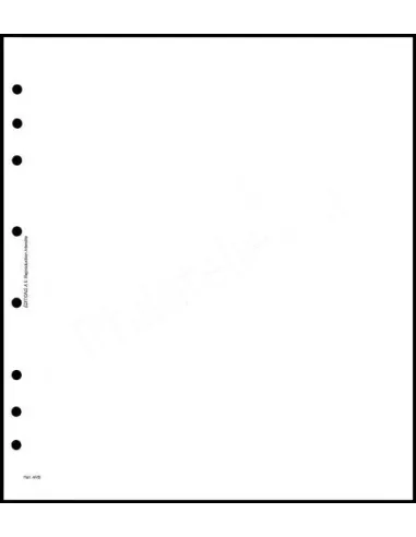 FEUILLES NEUTRES - FEUILLES BLANCHES SANS CADRE - AV FBSC par 10