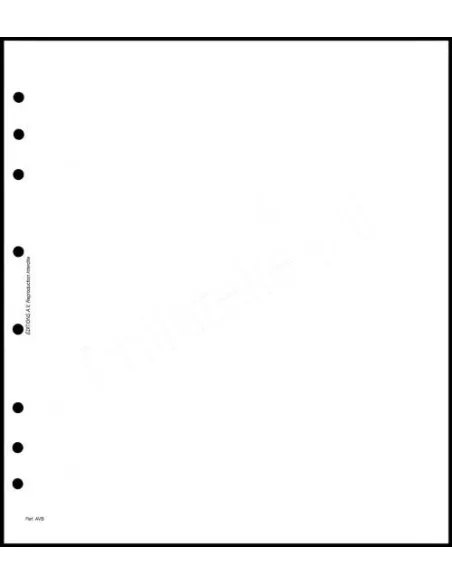 FEUILLES NEUTRES - FEUILLES BLANCHES SANS CADRE - AV FBSC par 10