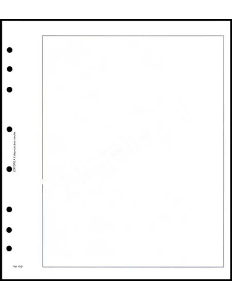 FEUILLES NEUTRES - FEUILLES BLANCHES AVEC CADRE - AV FB par 50