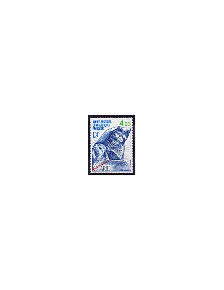 TAAF -  P.A. n°  54 - Faune - Otarie