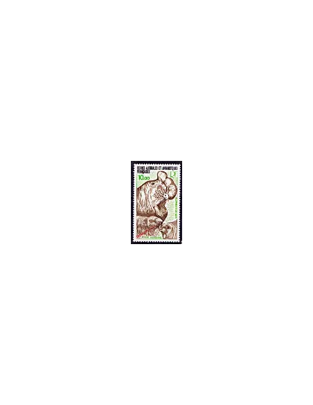 TAAF -  P.A. n°  55 - Faune - Eléphant de mer