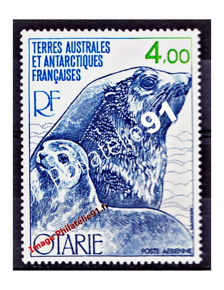 TAAF -  P.A. n°  54 - Faune - Otarie