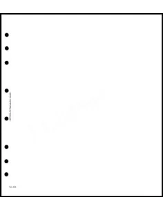 FEUILLES NEUTRES - FEUILLES BLANCHES SANS CADRE - AV FBSC par 50