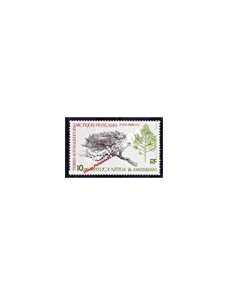 TAAF -  P.A. n°  60 - Flore - Le Phylica nitida