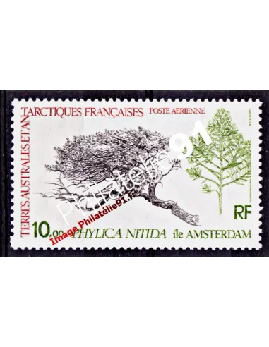 TAAF -  P.A. n°  60 - Flore - Le Phylica nitida